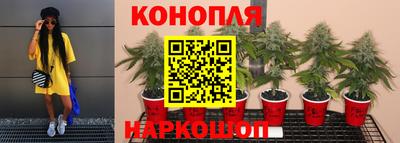 ПСИЛОЦИБИНОВЫЕ ГРИБЫ Краснодар