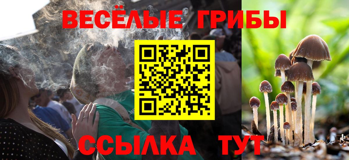 Галлюциногенные грибы мухоморы  Вход с VPN  Псилоцибиновые грибы Psilocybe  Зерноград 