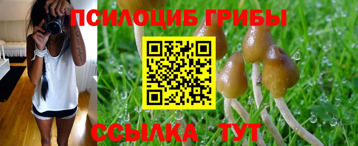 Галлюциногенные грибы GOLDEN TEACHER Зерноград